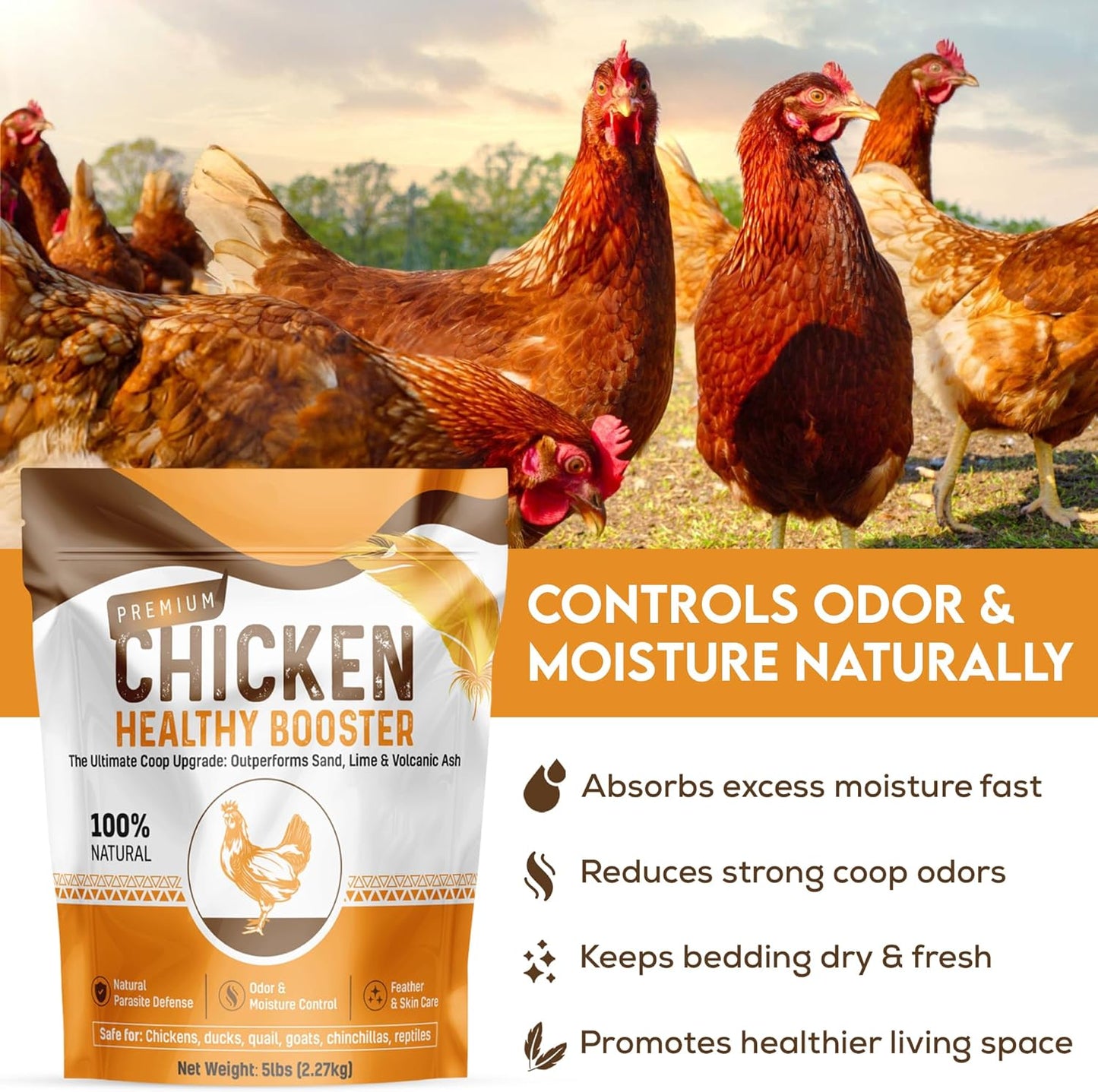 Chicken Dust Bath Sand Mix – Natural Poultry Dust for Feather & Skin Care | Diatomaceous Earth Blend | Coop Cleaner & Odor Control | Safe for Chickens, Ducks, Chinchillas-5 lbs