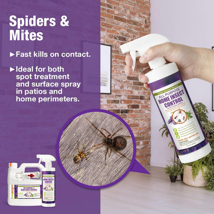 EcoVenger All Purpose Home Insect Control 1/2 Gallon with Trigger Sprayer, for Fleas, Fruit Flies, Gnats, Moths, Roaches, Spiders, Fast Kill