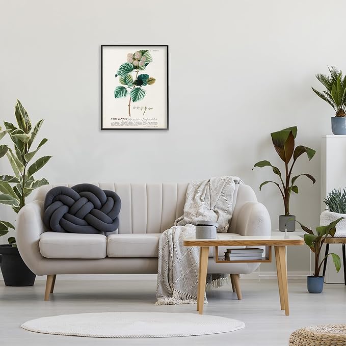 Stupell Industries Botanical Plant Illustration Seeds Vintage Design Black Framed Wall Art, Multi-Color