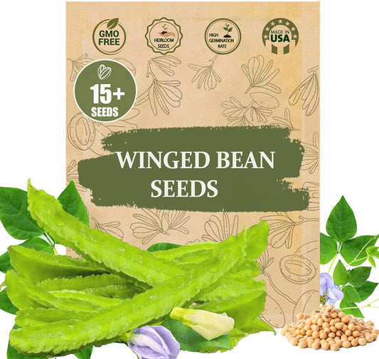 Rare Winged Bean Seeds - 15 Seeds, Non-GMO, Heirloom Vegetable Dragon Four-Angled Bean Seed for Planting – High-Yield, Nutritious, Tropical Climbing