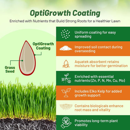 Outsidepride Sheeps Fine Fescue Grass Seed - 25 Lbs. Perennial Heat & Drought Tolerant Dense Green, Traffic-Resistant Turf for Shaded Environments w/OptiGrowth Coating for Seed Enhancement