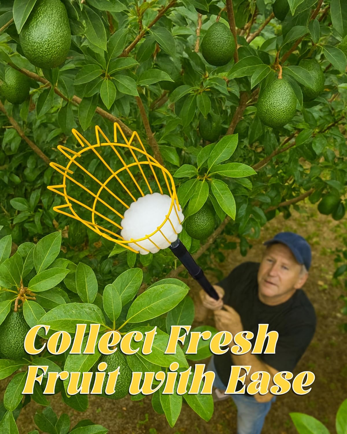 6.5FT Fruit Picker, Apple Picker Tool with Adjustable Pole and Basket, Long Reach Mango Grabber Tool, Tree Fruit Catcher for Picking Lemon Pear Orange Avocado Peach Citrus