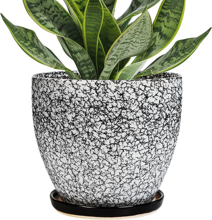 Ceramic Planter - 6 Inch Plant Pot for Indoor Ourdoor Plants, Round Succulent Planter, Decorative Flower Pots with Drainage Hole and Saucer, Home Desk Decor, Housewarming Gifts, White-Black