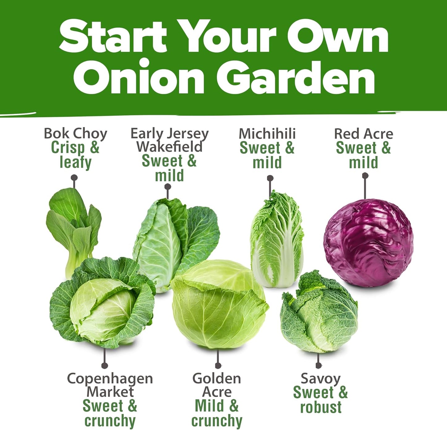 HOME GROWN 7 Cabbage Seeds for Planting - 2000+ Heirloom 𝗡𝗢𝗡-𝗚𝗠𝗢 𝗨𝗦𝗔 Seeds - Golden Acre,BokChoy,Savoy,Michihili, Red Acre, Copenhagen Market,Jersey Wakefield - Vegetable Seeds for Planting