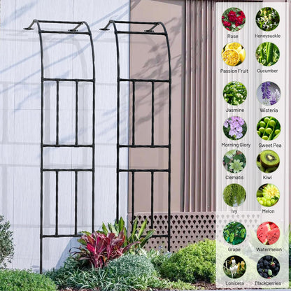 Half Sided Garden Arch, 24’’x94.5’’ Arbor Trellis, Trellis for Climbing Plants Outdoor, Garden Arch Arbor for Flower, Climbing Vine Vegetable, Fruit, Home Yard and Lawn(Black)