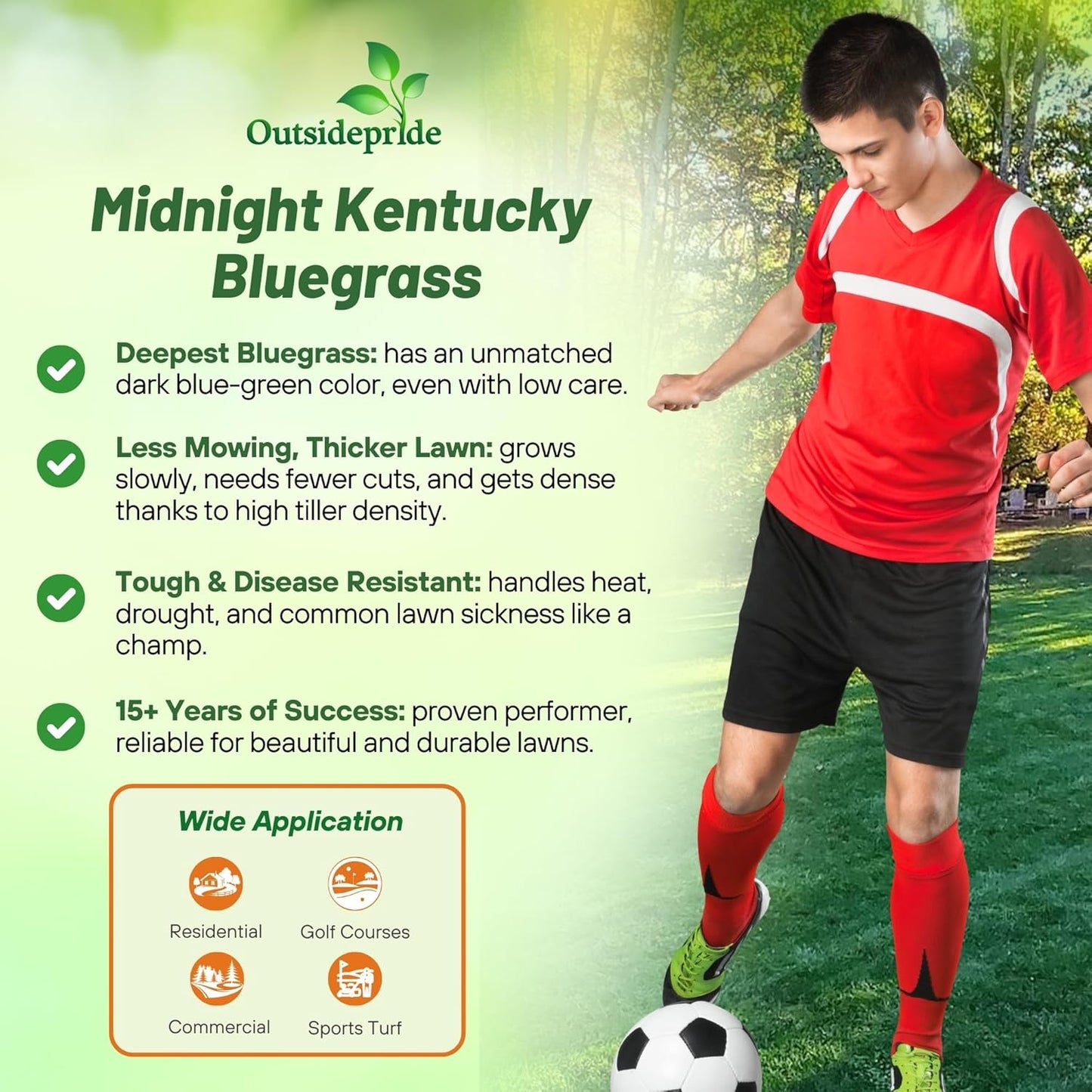 Outsidepride Midnight Kentucky Bluegrass Seed - 50 Lbs. Cold & Drought Tolerant, Sun-Loving Lawn Grass Seed, w/High Traffic Tolerance & Deep Root System, OptiGrowth Coated for Better Establishment