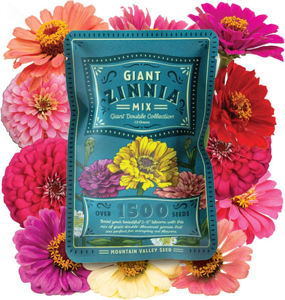 Zinnia Seeds for Planting Outdoors - ~1,500 California Giant Mix Zinnia Seeds - Beautiful 4' Tall Wildflower Blossoms - Zinnia elegans Pollinator Seed Mix - Bright, Cheerful Annual Flower Seed Packets