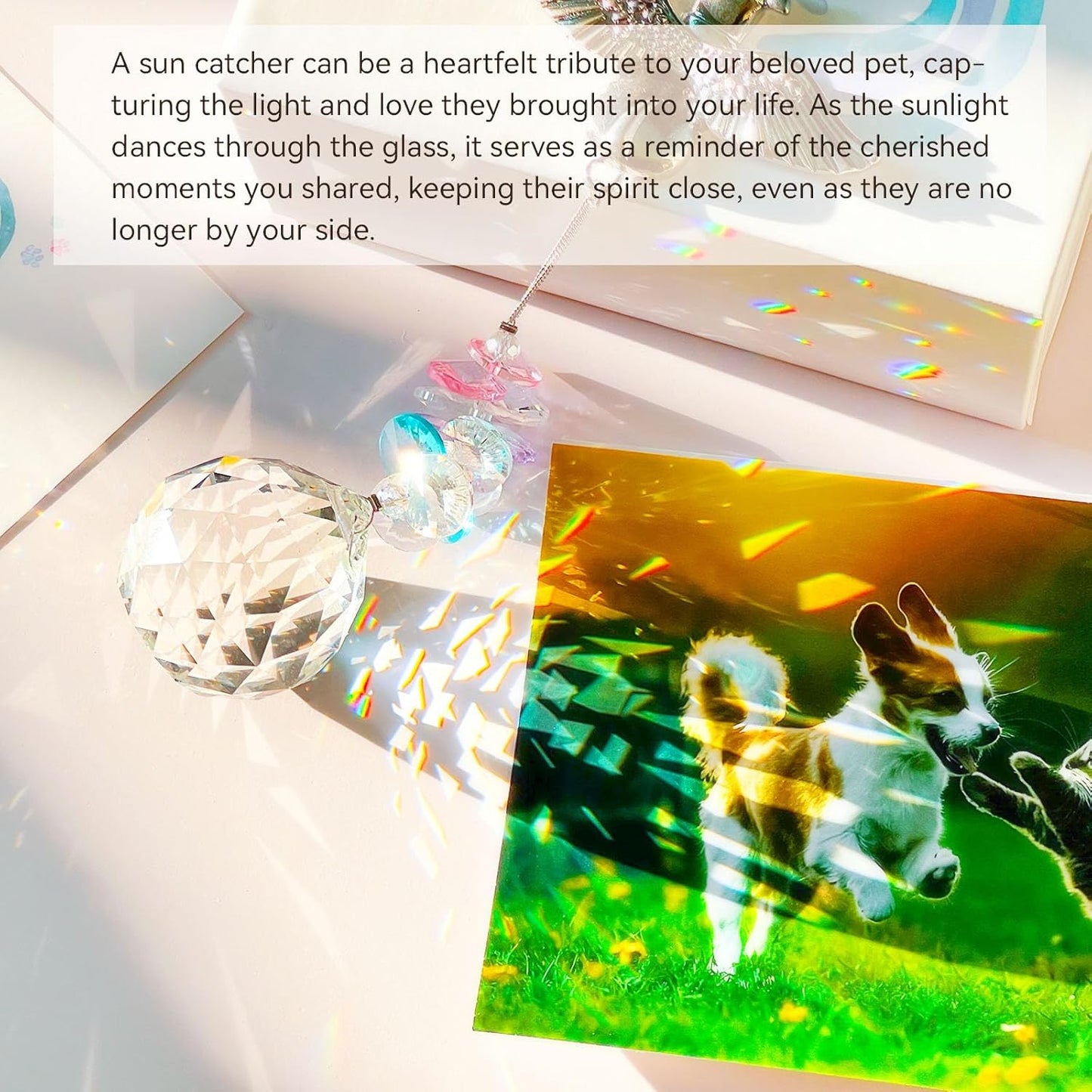 Loss of Dog Sympathy Gift - Dog Memorial Suncatcher, Pet Loss Sympathy Gifts, Passing Away Remembrance Bereavement Gift Idea