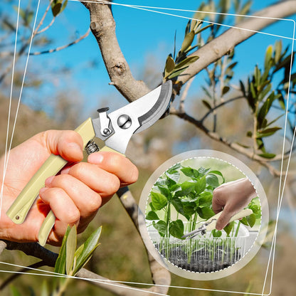 Chumia 6 Pcs Garden Pruning Shears Flower Shears Handheld Heavy Duty Garden Scissors Stainless Steel Clippers for Cutting Flowers, Trimming Plants Bypass, Fruits Trees, Pruning Snips, Gardening Gifts