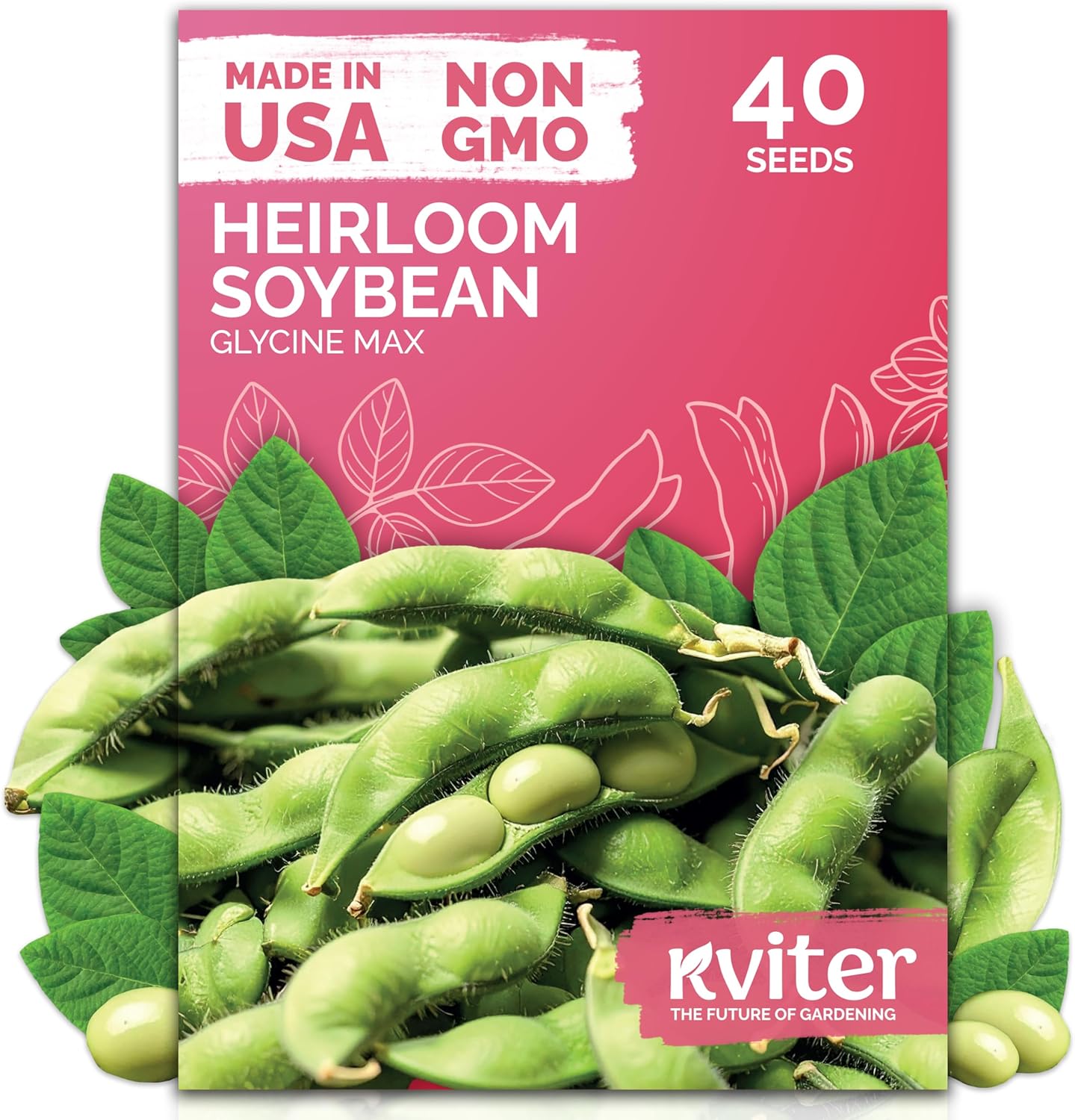 KVITER 40 Soy Bean Midori Giant Edamame Seeds (Glycine max) - Green Soybean, Soy Beans Organic Non GMO Variety, Sweet Nutty Flavor - Heirloom Vegetable Seeds for Planting Outdoors in Home Garden
