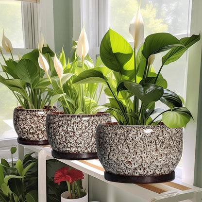 SQOWL Ceramic Planter - 8 inch Plant Pot Indoor with Drainage Hole and Plant Saucer, Round Ceramic Flower Pots Outdoor, Decorative Modern Planter, Office Kitchen Decor, Gifts for Women Men, White
