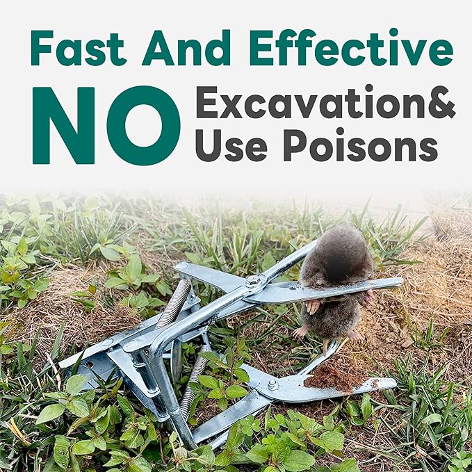 2 Pack Mole Traps,Galvanized Steel Scissor Trap,Reusable Mole Trap Killer,Easy Set Mole Eliminator Trap for Lawns