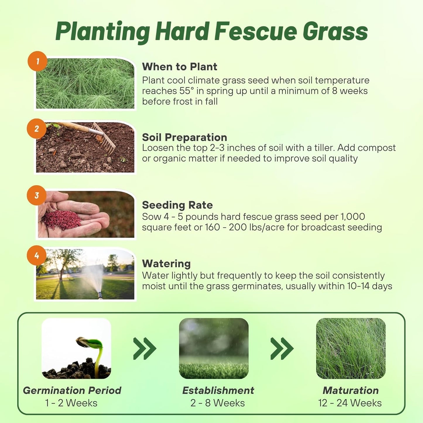 Outsidepride Hard Fine Fescue Grass Seed - 5 lbs. Low-Growing, Drought & Shade-Tolerant, OptiGrowth Coated Seed for Lawn & Turf, Ideal for Low-Maintenance, Dense, & Resilient Green Ground Cover