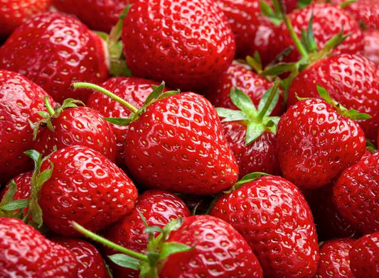 Harvest Glow Strawberry Plants - Grow Tasty Strawberries - Bare Root Plants (20 Plants)