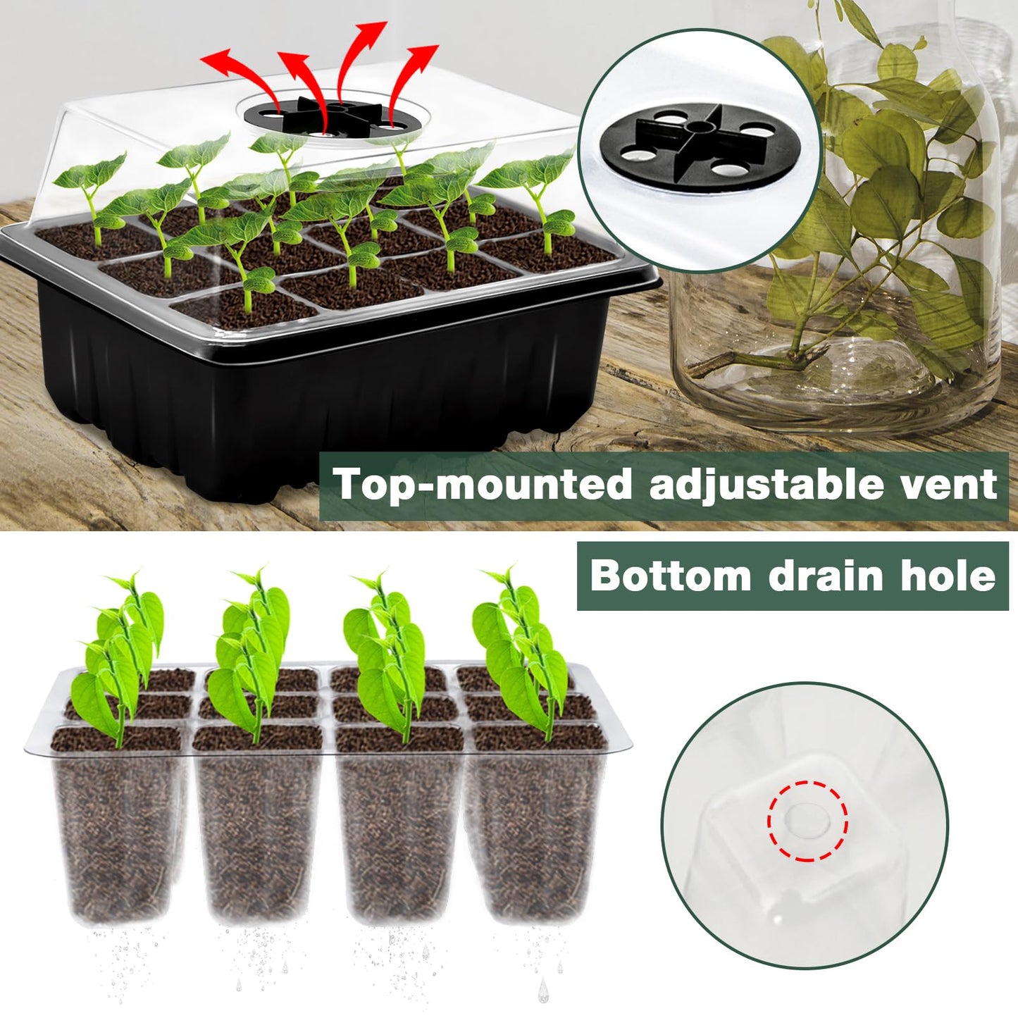 ZeeDix 2 Set Seed Starter Tray Kits with 30 Pack Coco Coir Pellets