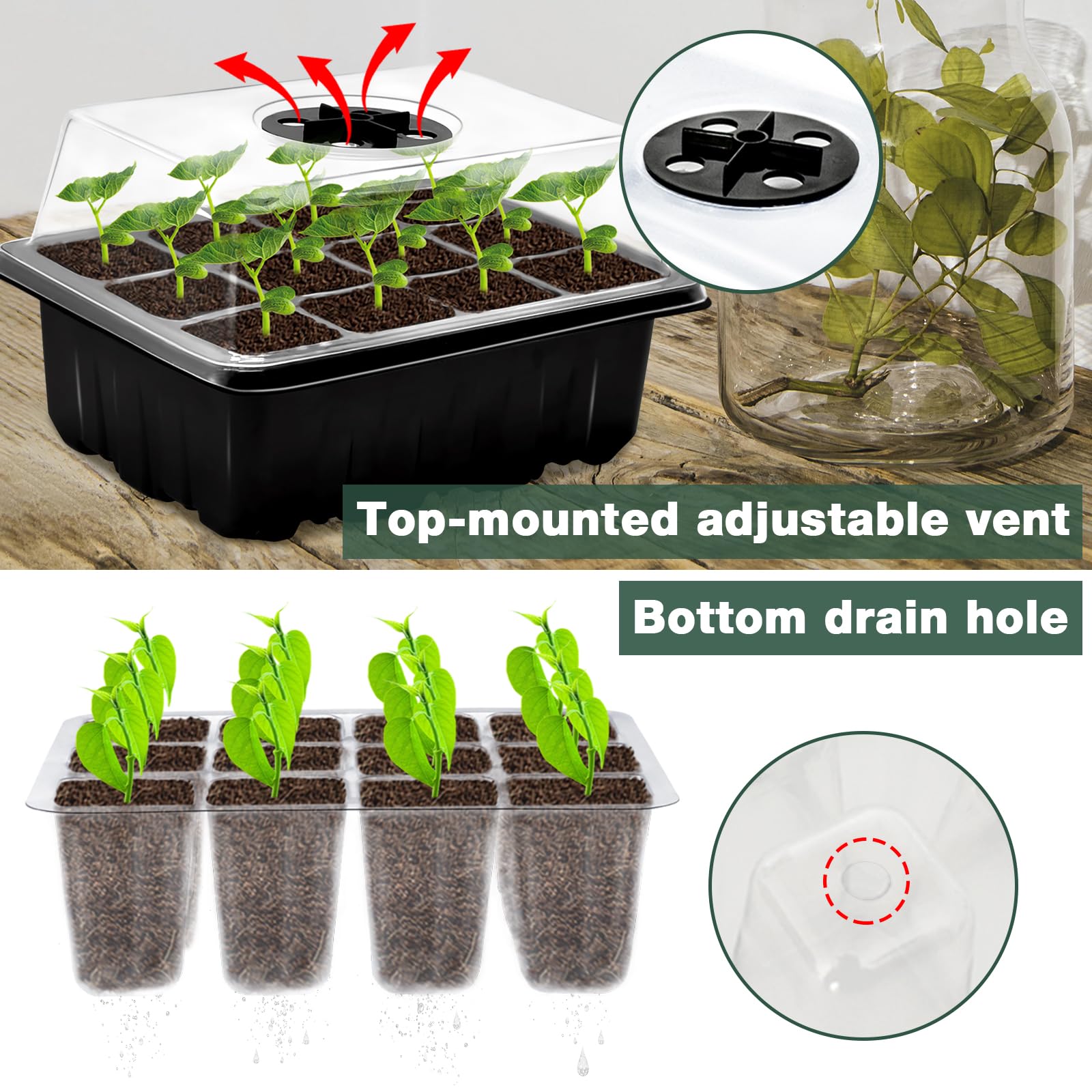 ZeeDix 2 Set Seed Starter Tray Kits with 30 Pack Coco Coir Pellets
