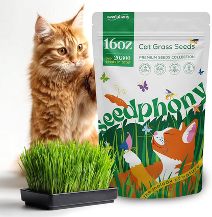 Cat Grass Seed Mix – 16 oz Pack with 20,500 Non-GMO Heirloom Seeds for Cats, Barley, Oat, Rye & Wheatgrass for Indoor Growing, Fresh Pet Grass for Digestion & Hairball Control