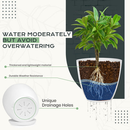 Plant Pots Indoor with Drainage, 10 Pack Multi-Size Planters Set, White
