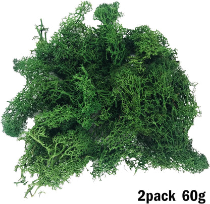 Cayway 83 PCS Fairy Garden Accessories Outdoor, Mixed Model Trees for DIY Craft Garden Decoration, SB-S571
