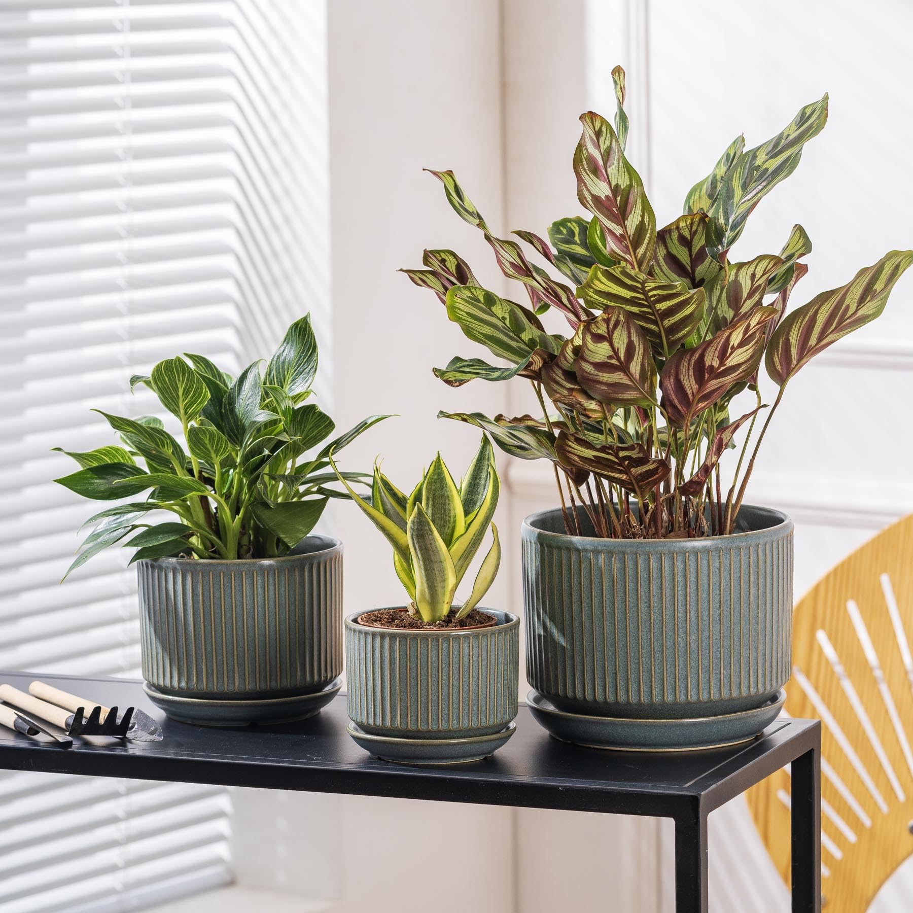 SURE YUESI Ceramic Plant Pots Set of 3, Indoor Outdoor Planters with Drainage Hole and Saucer