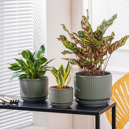 SURE YUESI Ceramic Plant Pots Set of 3, Indoor Outdoor Planters with Drainage Hole and Saucer
