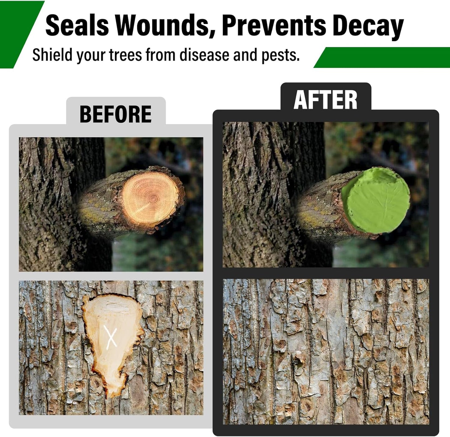 Madrigal Premium Bonsai Pruning Sealer - Tree Wound Healing Paste for Bonsai Trees, Grafting, and Pruning - Professional Bonsai Tools