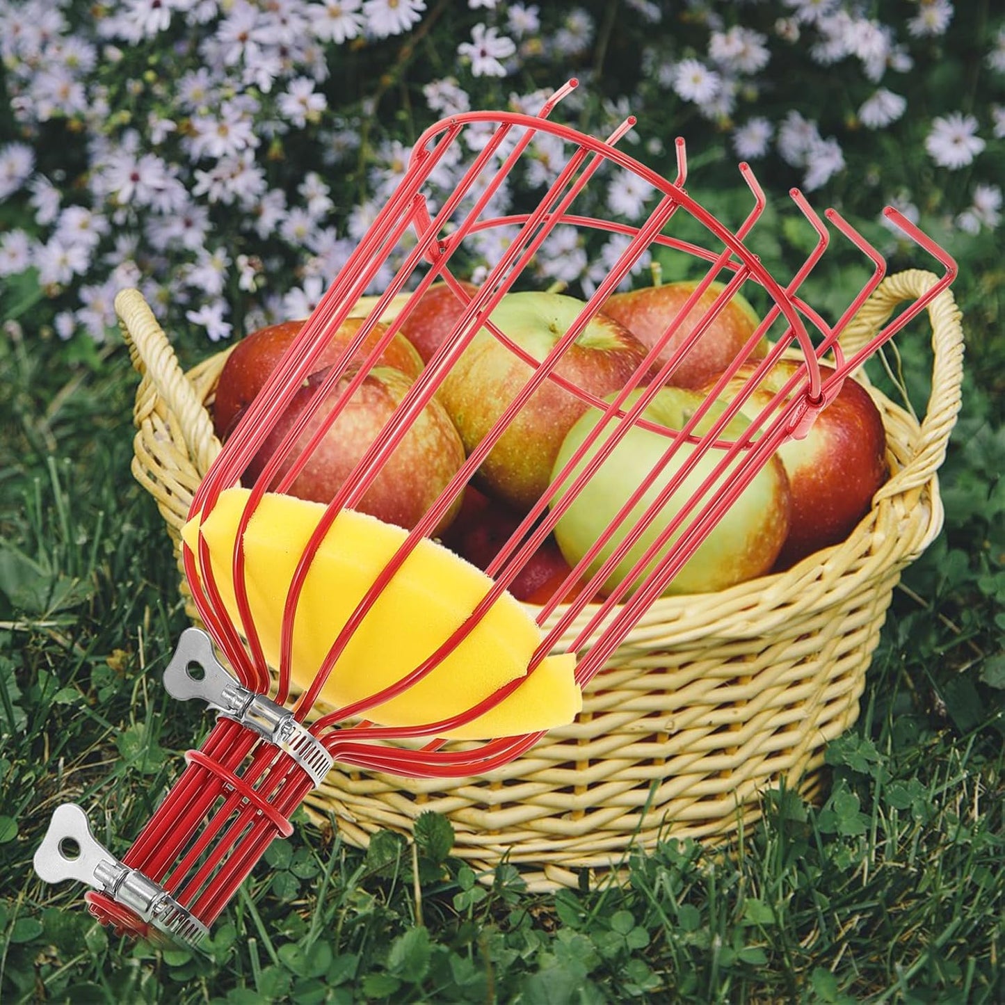 Kisangel 1pc Tool Pecan Picker Mango Picker Pole Adjustable Fruit Picker Avocado Tool Fruit Collector Tool Fruit Harvester Fruit Picker Tool Fruit- Device Rod Persimmon