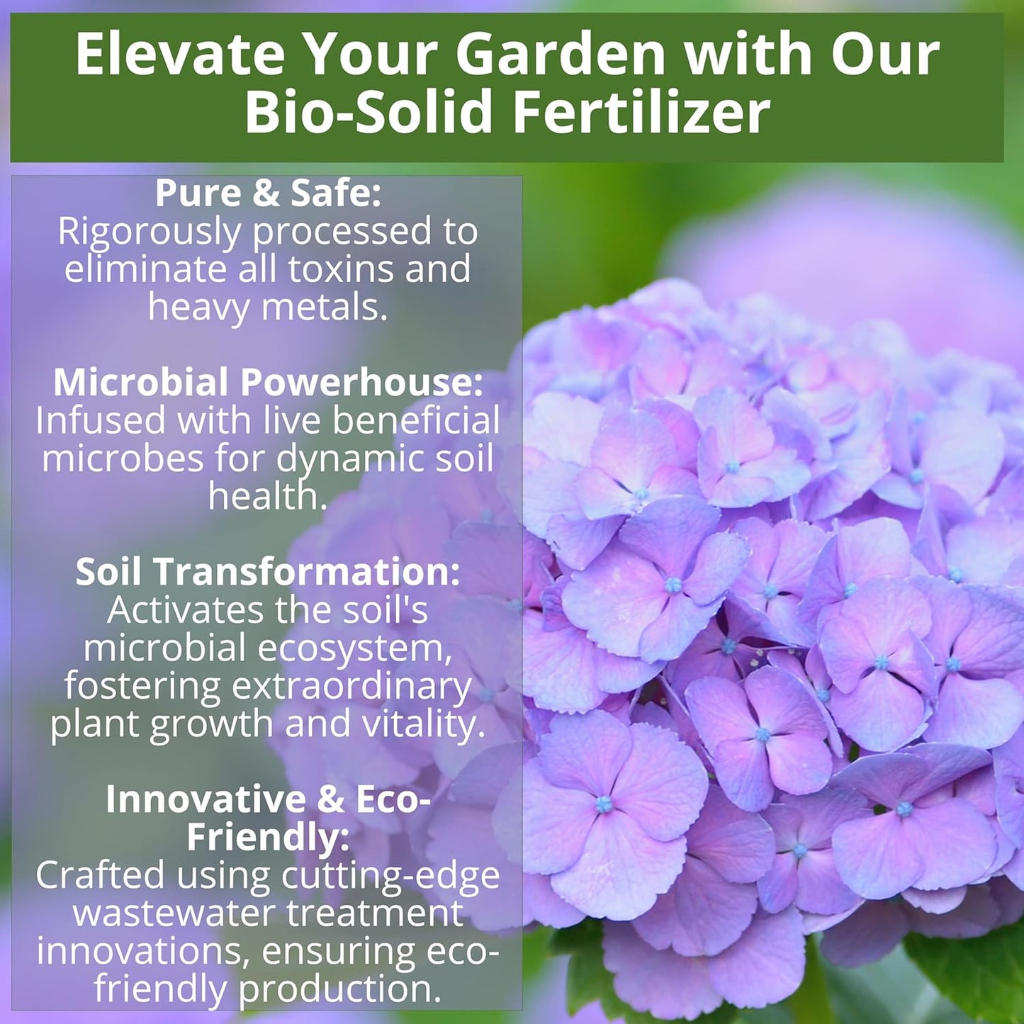 8-4-8 Acidic Fertilizer for Azaleas, Camellias (Camelia), Hydrangeas, Blueberries, Gardenias, Magnolia Trees, Evergreens, and Rhododendrons - Ideal Iron-Rich Plant Food (1 Quart)