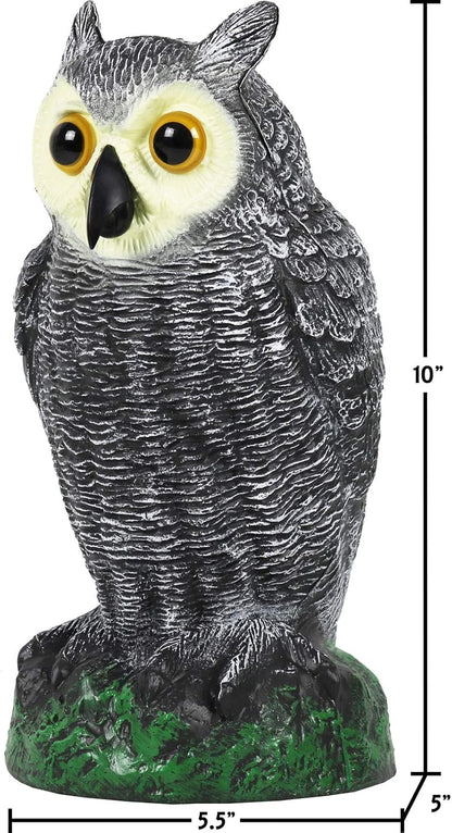 Galashield Owl Decoy to Scare Birds Away | Plastic Owls to Scare Birds Away | Owl Statue for Garden & Outdoors