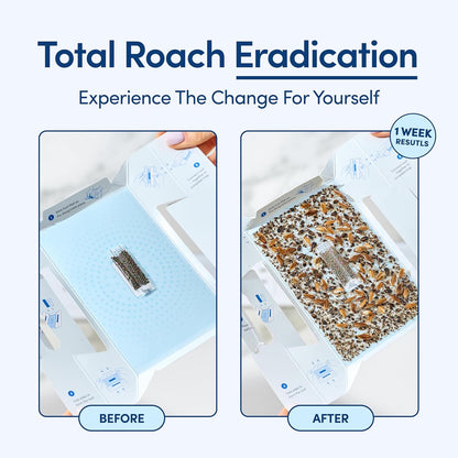Shieldeck Roach Traps Indoor (12 Pack) - Cockroach Killer Indoor Home, Sticky Glue Cockroach Trap for Roaches, Spider, Cricket, Roach Bait Traps for Car, Inside House, Motels, Glue Traps for Roaches