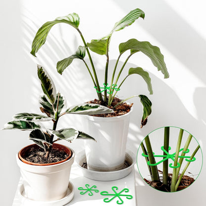 Plant Stem Support Set, 8Pcs 4 Sizes Plant Trellis Rings for Climbing Plants Indoor, Support Holder Ring for Different Growth Stages, Climbing Houseplant Trellis for Potted (Green)
