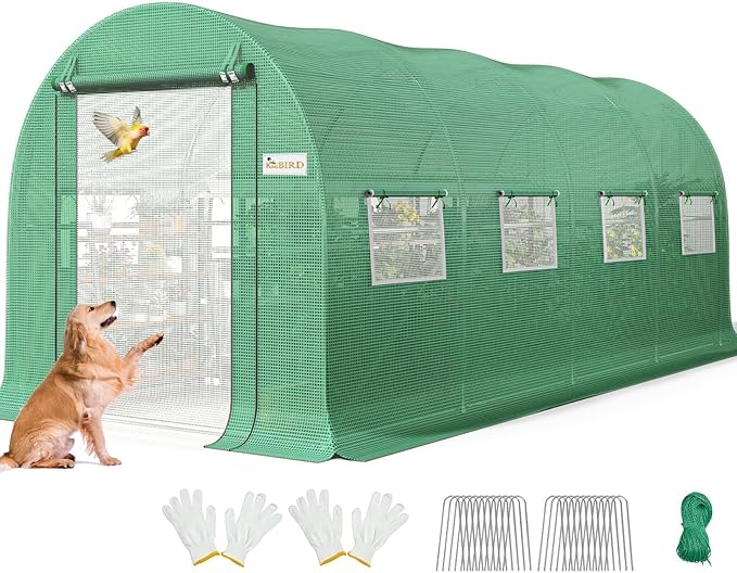 KING BIRD Premium 15x6.6x6.6FT Greenhouse for Outdoors, Large Walk-in Upgraded Galvanized Metal Frame, Mesh Door Screen Window Improved Zipper Tunnel Hoop for Garden Plant Winter, Green