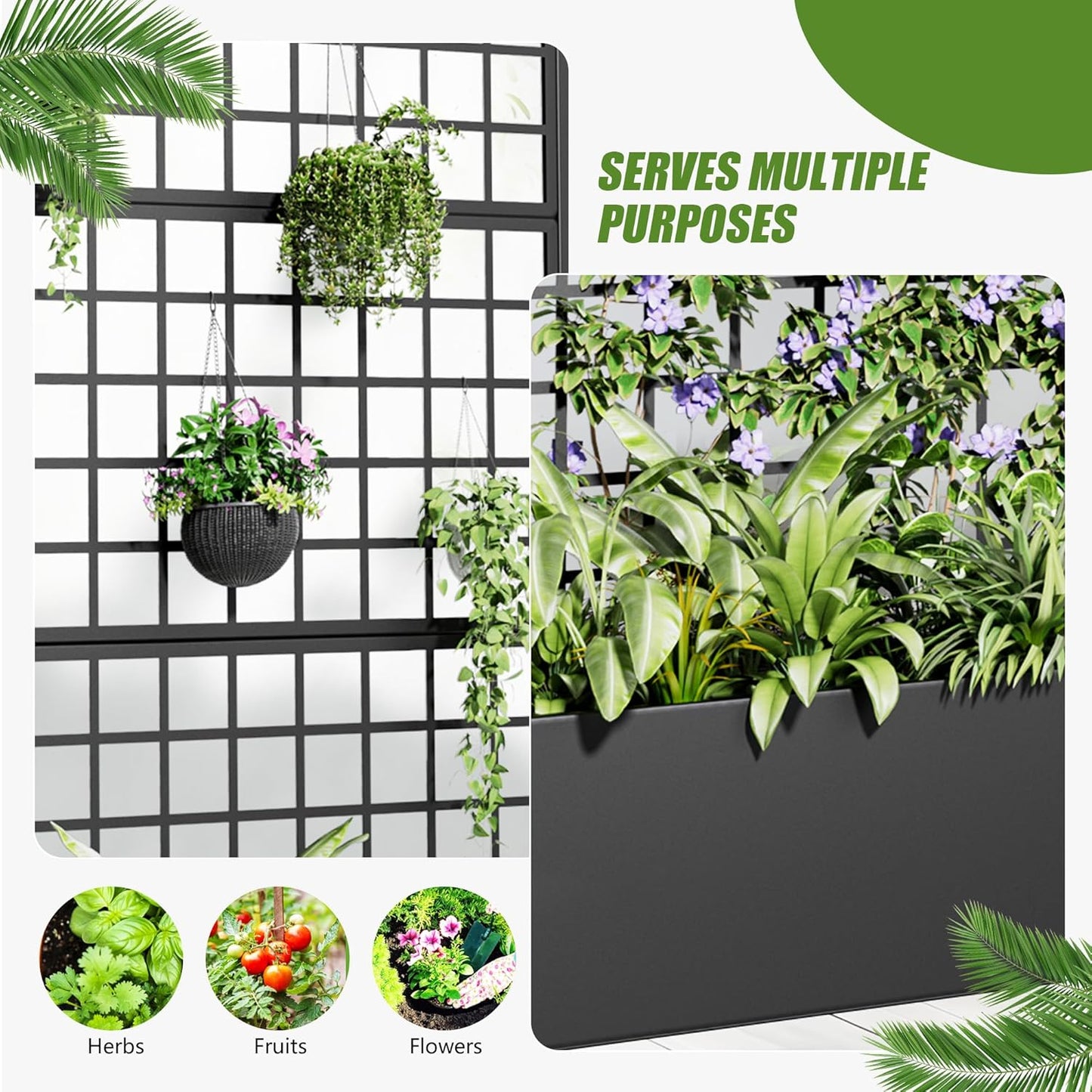 Casaphoria 72"x35" Metal Raised Garden Bed with Trellis(2 Pack), Outdoor Planter Box with Wheels & Drainage Holes for Climbing Plants, Flowers, Elevated Garden Kit with Privacy Screen, Black-Square