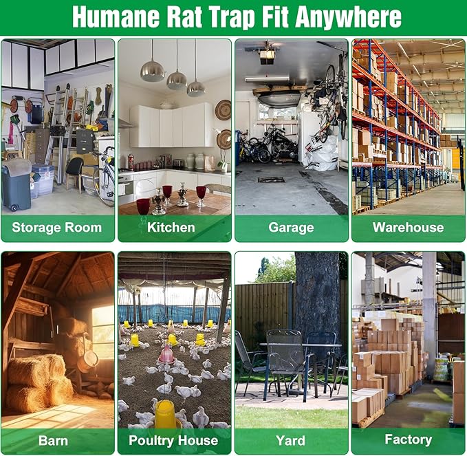 4 Packs Humane Rat Trap Outdoor, Wanqueen Humane Mouse Traps Indoor, Small Rodent Chipmunk Squirrel Trap and Other Live Animal Cage Catch and Release