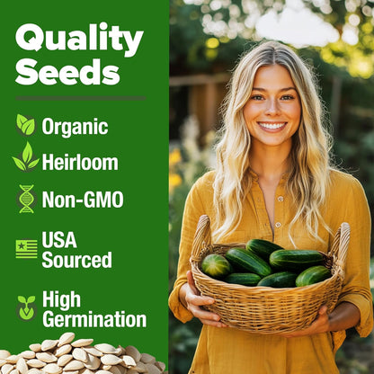 HOME GROWN 𝗨𝗦𝗔 𝗣𝗥𝗘𝗠𝗜𝗨𝗠 Organic Cucumber Seeds - 200 Marketmore Heirloom 𝗡𝗢𝗡-𝗚𝗠𝗢 Vegetable Seeds for Planting in Trellises, Raised Beds, Containers (Cucumis sativus)