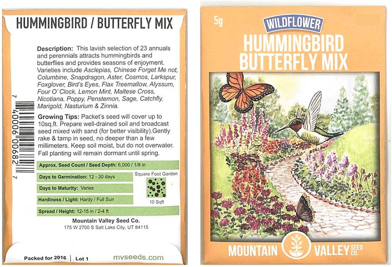 Hummingbird & Butterfly Wildflower Seed Mix - 5 g Packet - Wild Flower Seed Mixture: Alyssum, Lemon Mint, Foxglove, More