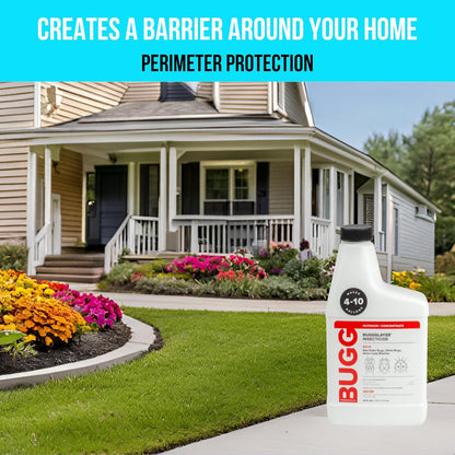 BUGGSLAYER Insecticide - Concentrate - Outdoor Box Elder Bugs, Stink Bugs, Asian Lady Beetles - 16 oz Bottle