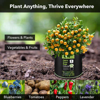 BN-LINK 5-Pack 5 Gallon Grow Bags, Heavy Duty Aeration Fabric Pots with Handles, Thickened Nonwoven Plant Bags for Vegetables, Flowers, Fruits