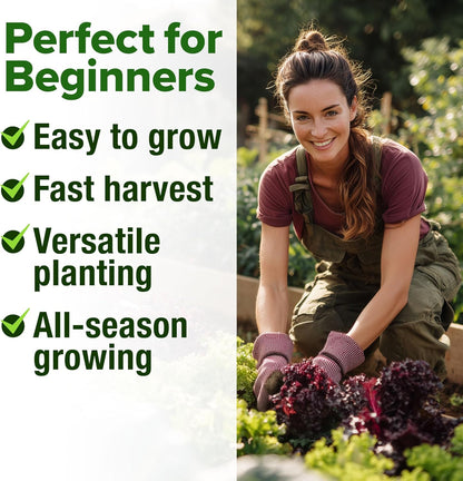 HOME GROWN Lettuce Seeds for Planting - 8 Varieties Non-GMO Heirloom Salad Greens Seeds - 9000+ USA-Sourced Vegetable Seeds for Planting Outdoors, Indoors, Hydroponic Garden