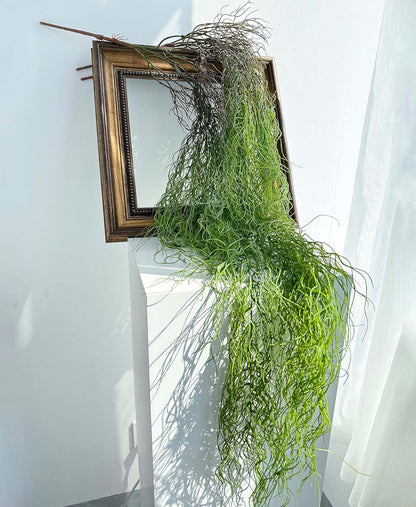 3 Fake Hanging Plants with Roots, 51 inch Faux Ivy Vines Hanging Greenery for Party Green Backdrop, Home Office Farmhouse Living Room Greenery Wall, Bathroom, Outdoor Porch Decoration
