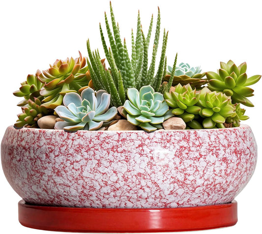 Succulent Pots - 8 Inch Bonsai Pots for Indoor Outdoor, Shallow Ceramic Planter with Drainage Hole and Saucer, Round Flower Succulent Planters, Room Decor, Gifts for Plant Lovers, Red