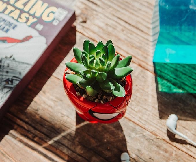 Toynk Marvel Comics Spider-Man 3-Inch Ceramic Mini Planter with Artificial Succulent