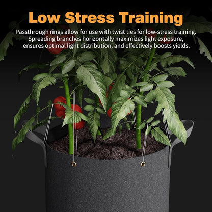 Self-Watering Grow Bags, 5-Pack 3 Gallon 420G Thick Nonwoven Fabric Pots with Reinforced Handles and Multi-Purpose Rings, for Low Stress Plant Training Fruits, Vegetables,and Flowers