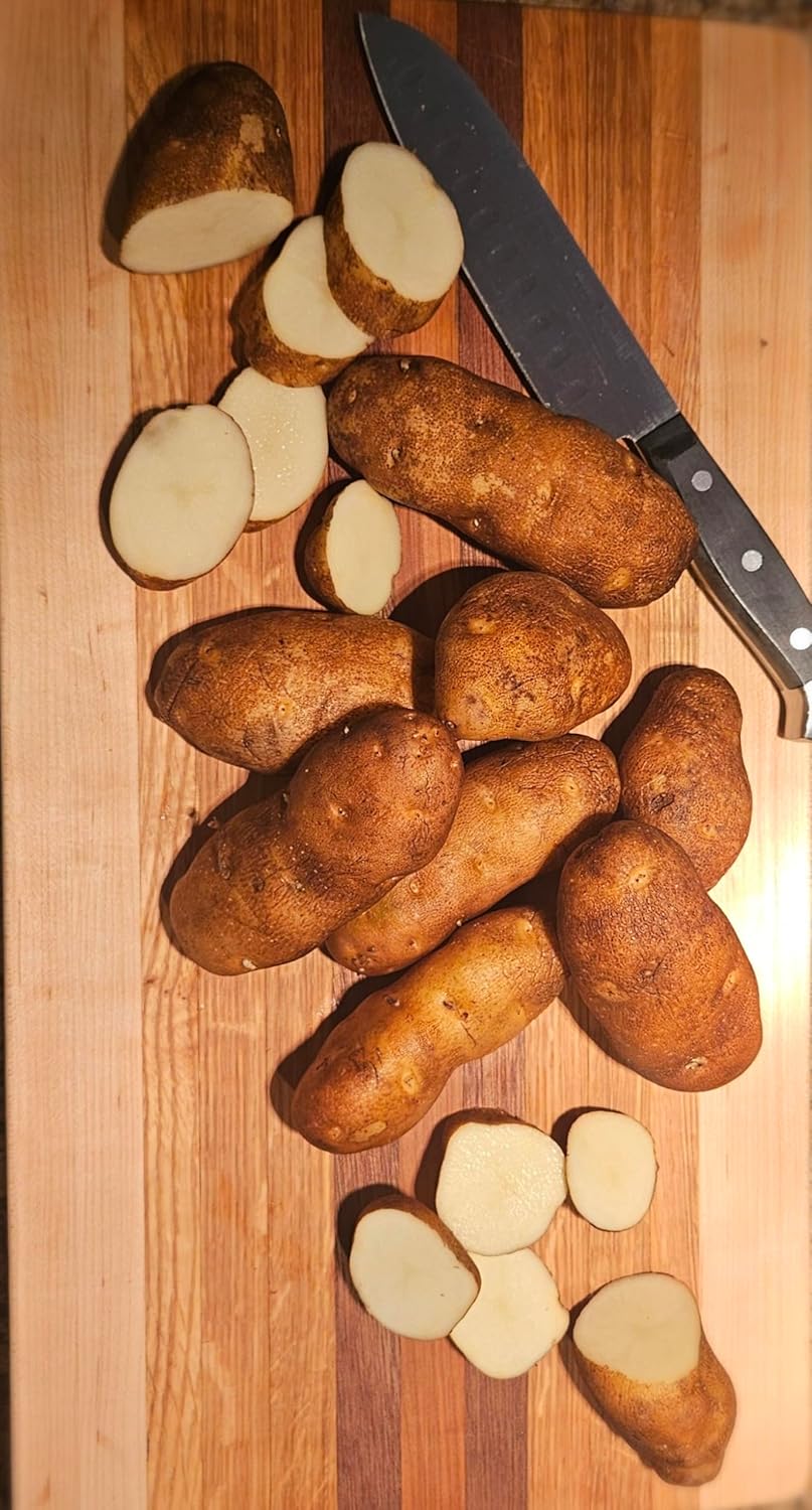 Idaho Russet Certified Potato Seed Real Whole Potatoes American Grown Non GMO Ready to Grow 3LBS