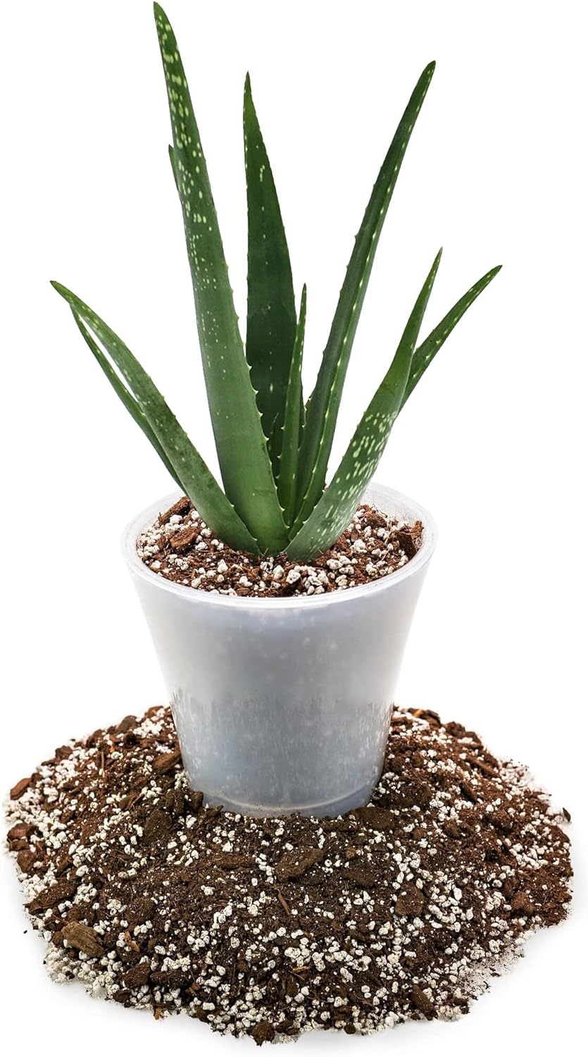 GARDENERA Premium Aloe Vera Potting Soil Mix - (4 Quart Bag)