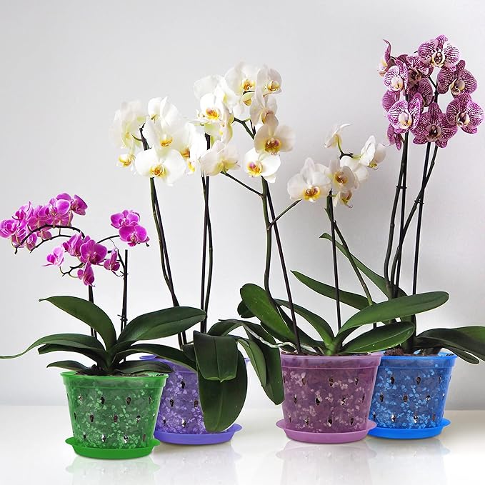 Orchid Pot, 6.7 Inch 8 Pack Orchid Pots with Holes and Saucers,Plastic Orchid Planter - Purple Amethyst
