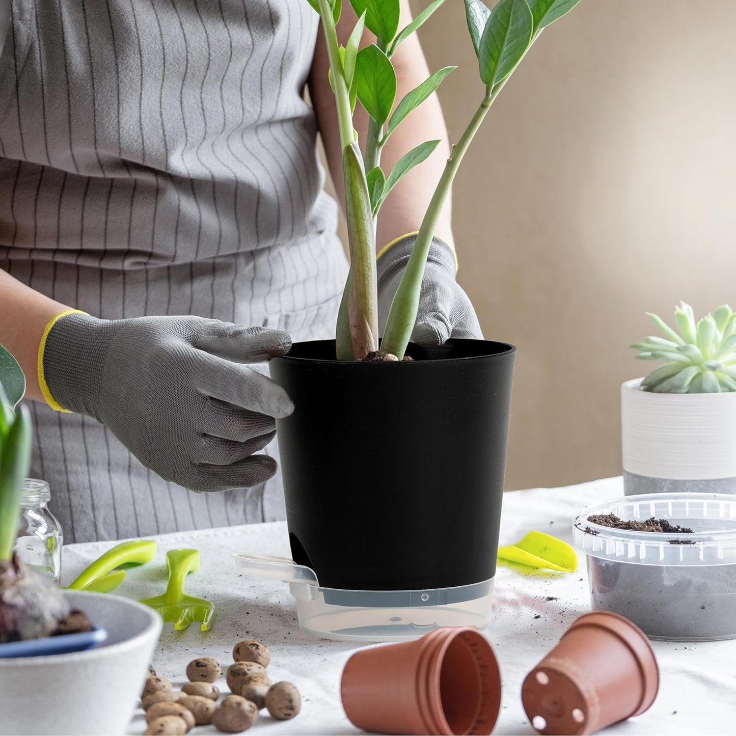 4 Inch 5 Pack Small Self Watering Pots for Indoor Plants, Nursery Pot with Drainage Holes and Saucers, Plastic Small Flower Planter for Succulent, Aloe, Cacti and More(Black)