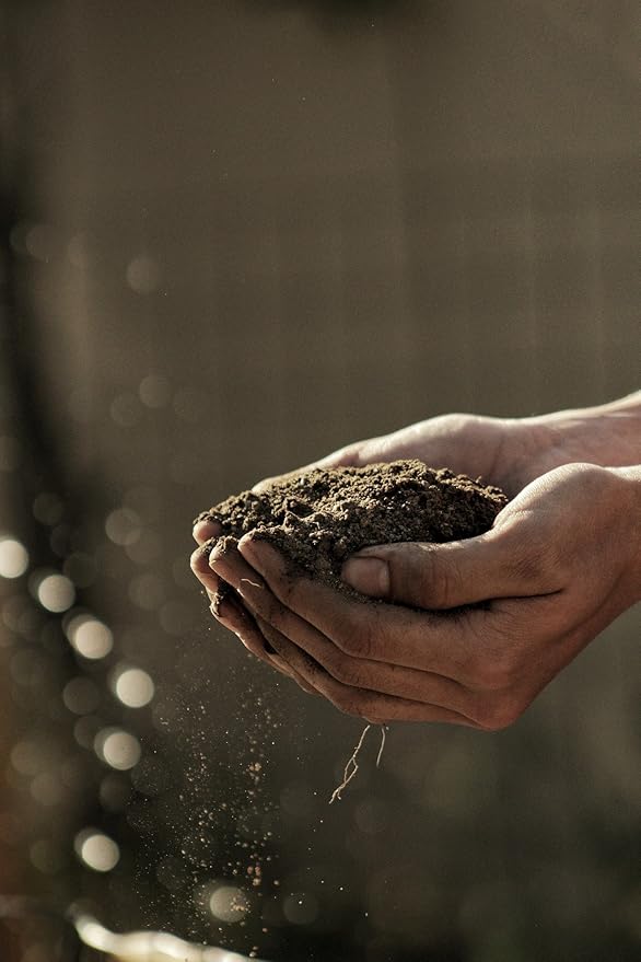 Autoflower Living Soil Concentrate for Super Soil