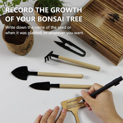 Bonsai Tree Starter Kit for Beginners - Indoor Live Plant Gardening Adult Craft Kits - Unique Christmas, Birthday, White Elephant Gifts for Women, Men & Kids