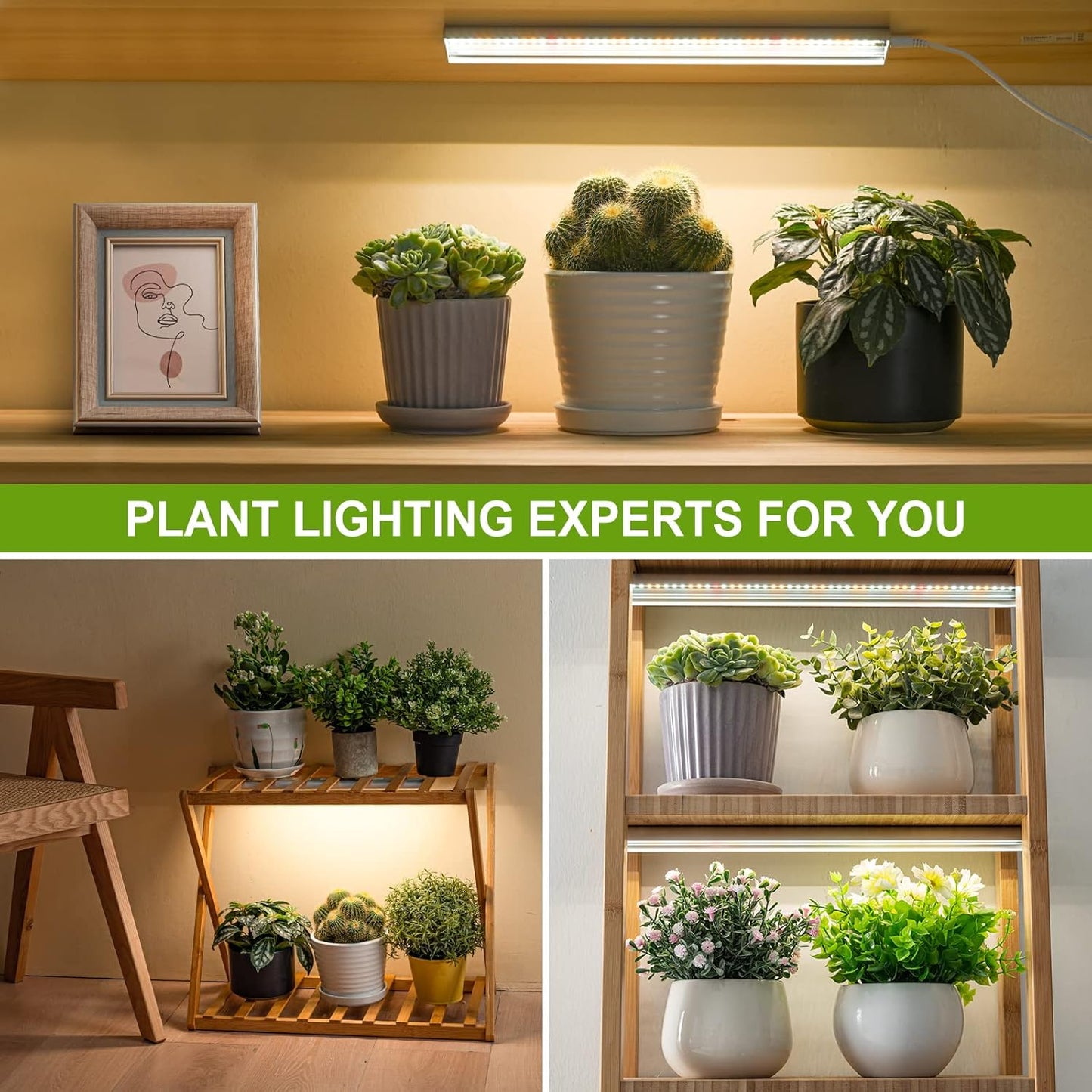 FOXGARDEN Grow Light, Full Spectrum Plant Light Strip for Indoor Plants, 288 LED Bright Grow Lamp with Auto On/Off Timer 4/8/12H, 3 Switch Modes, 10 Dimmable Brightness, 3 Packs